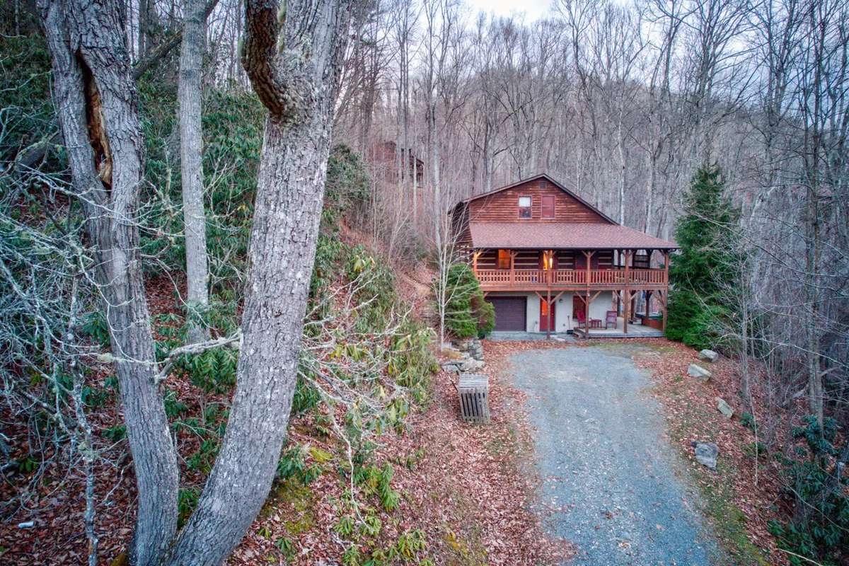 A view of the wooden cabin set amidst tall trees and a gravel driveway, giving a sense of privacy and immersion in nature. The porch is visible, inviting guests to step out and enjoy the peaceful setting.